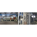 Capacity 20000cbm One Year MDF Production Line